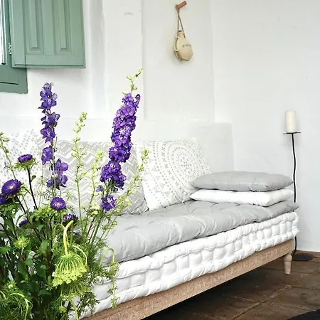 Gospodarstwo wiejskie Rural Casapina *